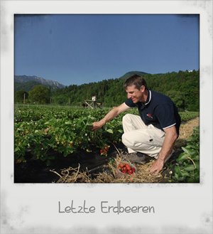 maks vrecek neben einem mit strukturiertem wasser bewässerten erdbeerfeld