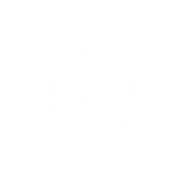 flaska kosmogramm grafik