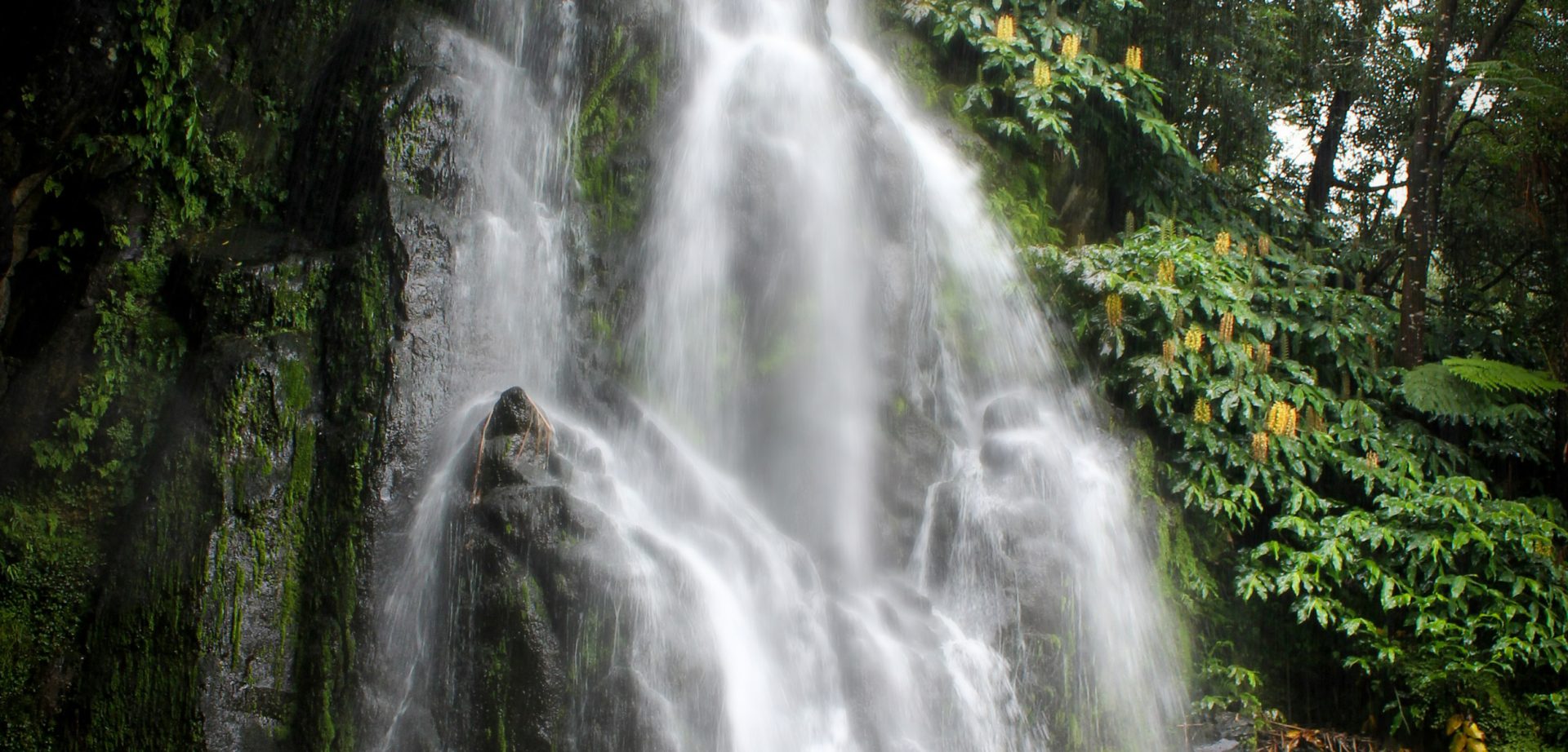 üppiger wasserfall der über moosbedeckte felsen in einem tropischen regenwald fliesst